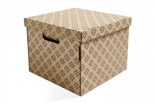 Коробка с крышкой Триумф для хранения вещей  32x25x32 см, 25.6 л
