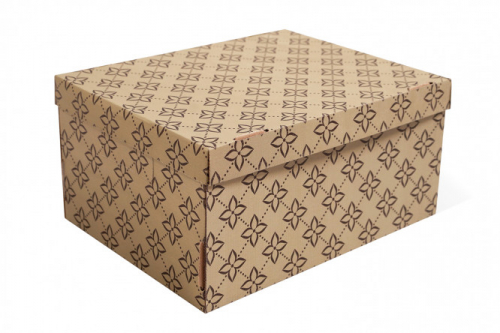 Коробка с крышкой Триумф для хранения вещей для хранения вещей 37x18x28 см, 18.64 л