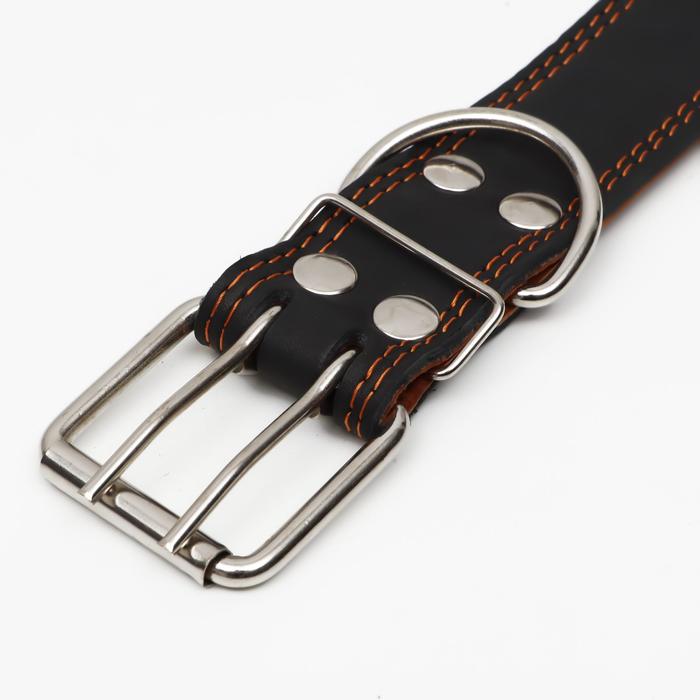 Ошейник кожаный двухслойный, 85×4.5 см, ОШ 50-70 см, чёрный