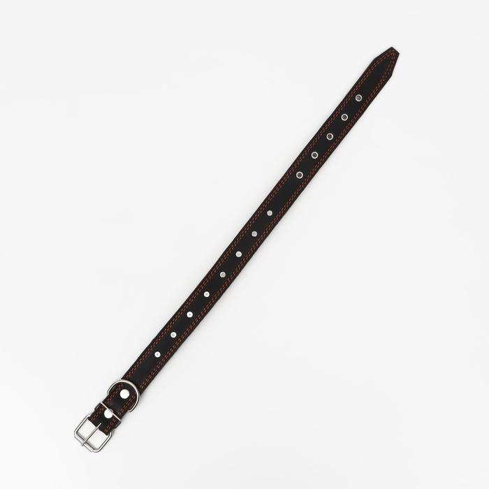 Ошейник кожаный «Строгий шип», 70×3.5 см, ОШ 45-60 см, чёрный