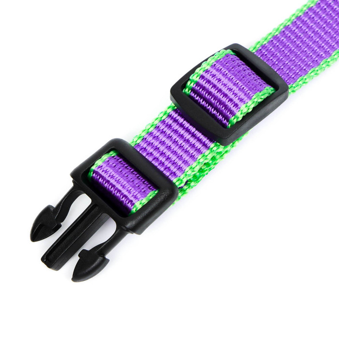 Ошейник капроновый, фастекс с замком, 50×2 см, ОШ до 50 см, фиолетовый с зелёным
