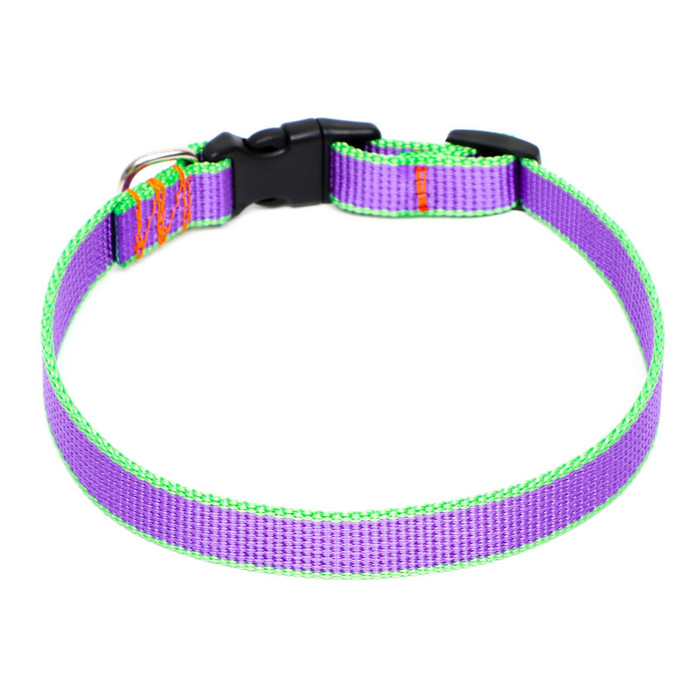 Ошейник капроновый, фастекс с замком, 50×2 см, ОШ до 50 см, фиолетовый с зелёным