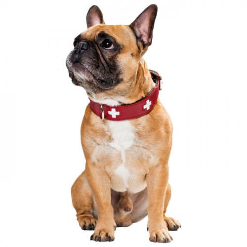 Ошейник кожаный для собак  Hunter Swiss 60, 47-54 см, красный/черный