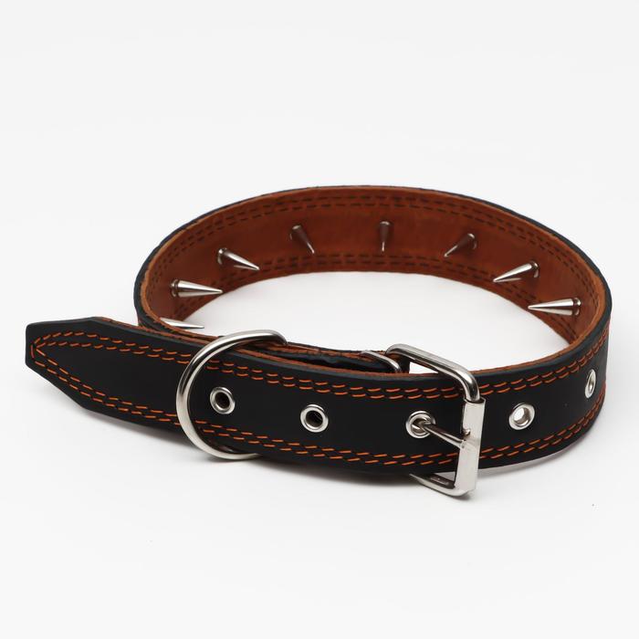Ошейник кожаный «Строгий шип», 70×3.5 см, ОШ 45-60 см, чёрный