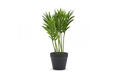 Искусственное растение Арека в пластмассовом кашпо   28х28 см