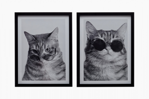 Набор постеров в раме Животные Котики в очках 32х42 см