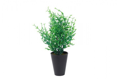Искусственное растение  Иглица 25 см