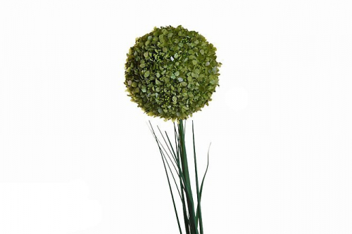 Искусственное растение Алиум 78 см