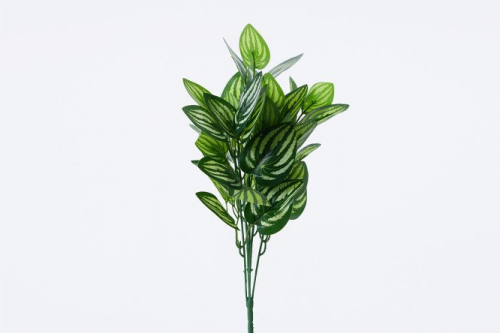 Искусственный цветок Аглаонема   12х6 см