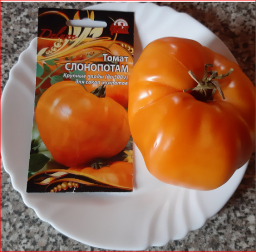 ТОМАТ Слонопотам (0,05г) среднеспелый