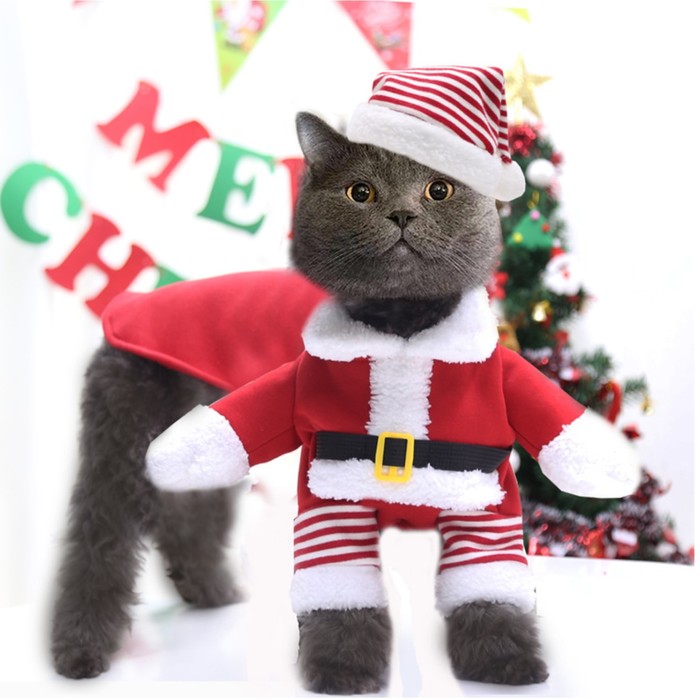 Новогодний костюм для собак