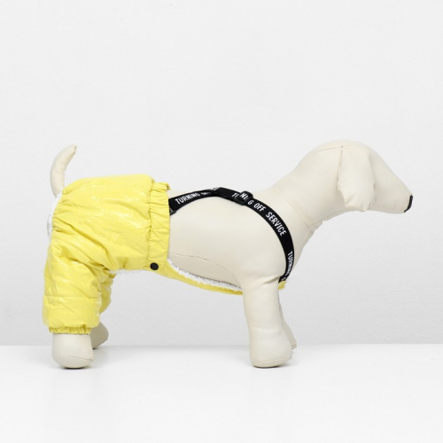 Комбинезон-штаны для собак, размер XS (ДС 26, ОТ 28 см), жёлтый