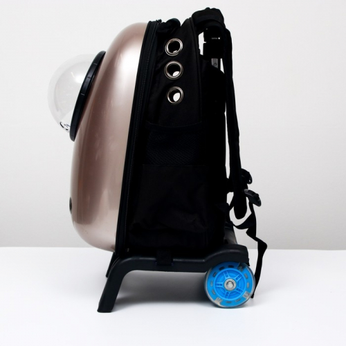 Рюкзак с подставкой, телескопической ручкой и окном для обзора, 32 х 26 х 53 см, золотистый   697157