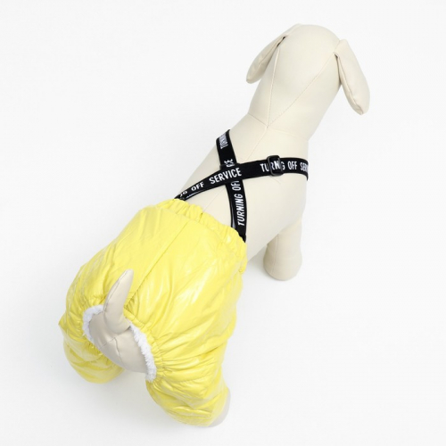 Комбинезон-штаны для собак, размер XS (ДС 26, ОТ 28 см), жёлтый