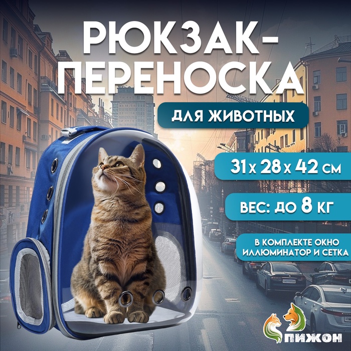 Рюкзак для переноски кошек и собак, прозрачный, 31 х 28 х 42 см, синий