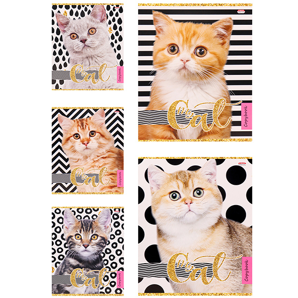 Тетрадь 48л. кл.