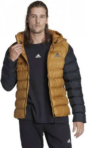 Куртка мужская INTERSPORT SDP, Adidas