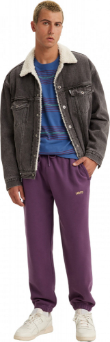 Брюки мужские LEVIS SWEATPANT HORTENSIA, LEVIS