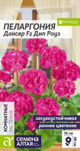 Цветы Пеларгония Дансер F2 Дип Роуз зональная/Сем Алт/цп 4 шт.