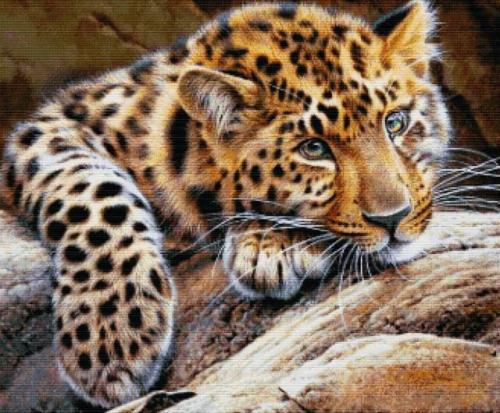 CK 544 Леопард