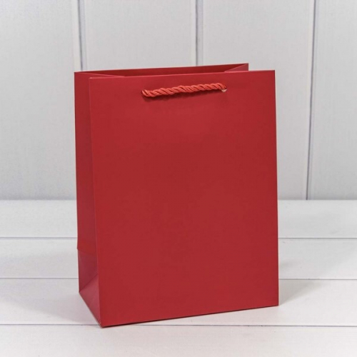 Подарочный пакет люкс бумажный 18*23*10 см Фактура красный 441227