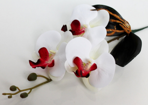 В11500 Орхидея с корешками из латекса