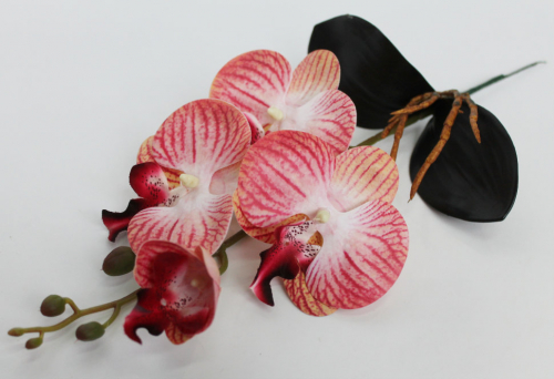В11500 Орхидея с корешками из латекса