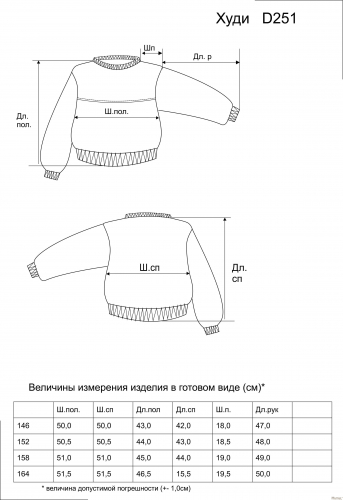 789руб.Худи D251-82