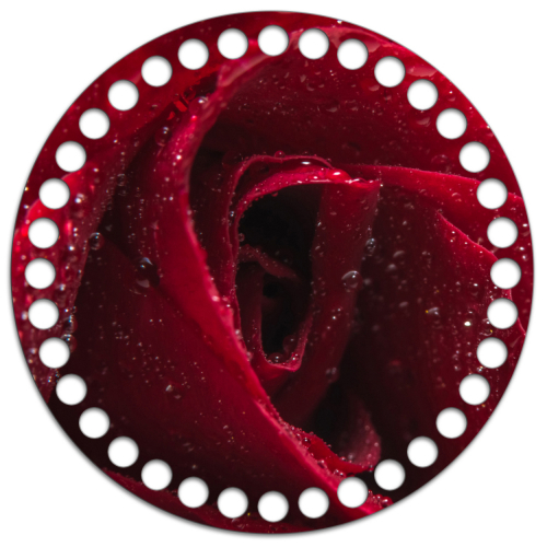 Круг 15 см. Red rose