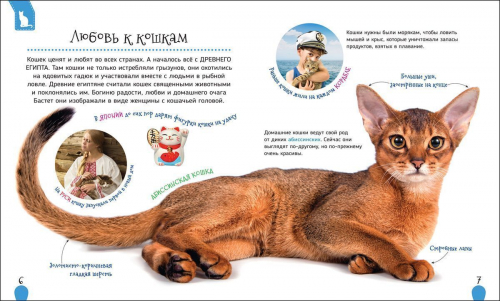 Уценка. Кошки и котята (Первая энциклопедия)