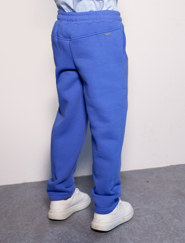 Теплые брюки из футера-трехнитки с начесом F44.064 голубой