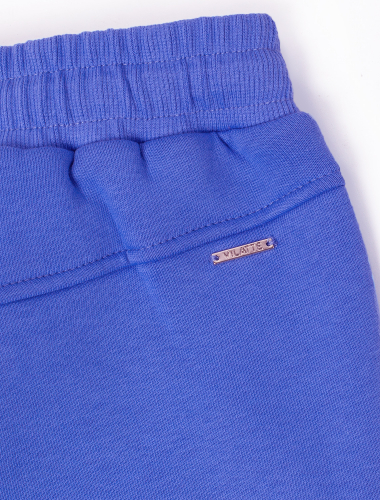 Теплые брюки из футера-трехнитки с начесом F44.064 голубой