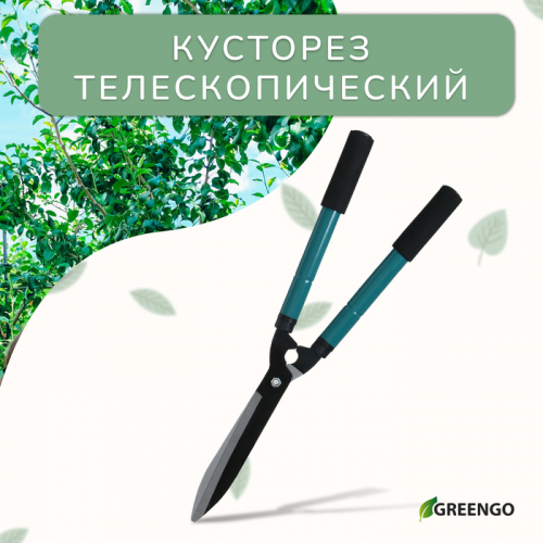 Кусторез, 22–28.5