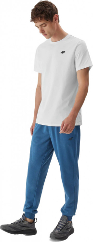 Футболка мужская TSHIRT  M0876, 4F