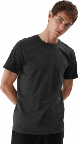 Футболка мужская TSHIRT  M0876, 4F