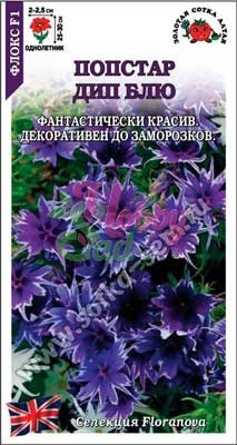 Цветы Флокс Попстар Дип Блю  (5 шт) Сотка