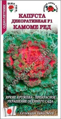 Цветы Капуста декор. Камоме Ред (5 шт) Сотка