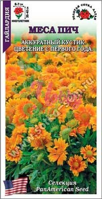 Цветы Гайлардия Меса Пич (5 шт) Сотка