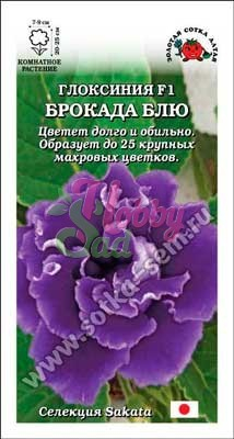 Цветы Глоксиния Брокада Блю F1 (5 шт) Сотка
