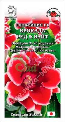 Цветы Глоксиния Брокада Ред & Вайт F1 (5 шт) Сотка