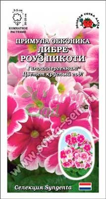 Цветы Примула Либре Роуз Пикоти (5 шт) Сотка