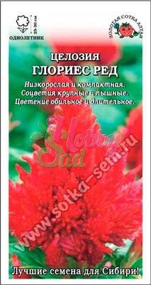 Цветы Целозия Глориес Ред перистая (10 шт) Сотка