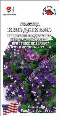Цветы Статица Квис Дарк блу (10 шт) Сотка