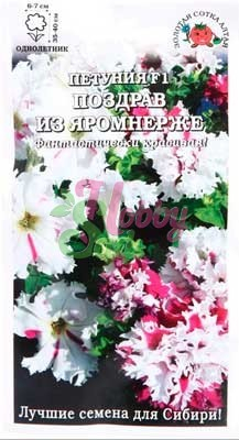 Цветы Петуния Поздрав из Яромнерже F1 (10 шт) Сотка