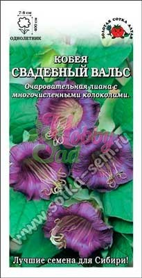 Цветы Кобея Свадебный Вальс (0,3 г) фиолетовая Сотка