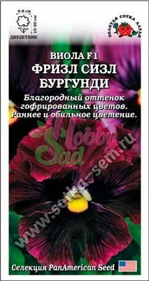 Цветы Виола Фризл Сизл Бургунди (5 шт) Сотка