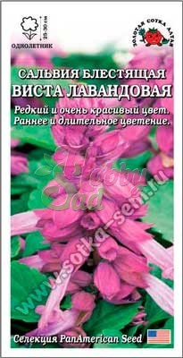 Цветы Сальвия Виста Лавандовая (10 шт) Сотка