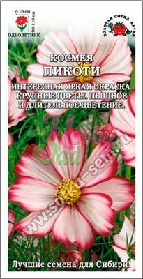 Цветы Космея Пикоти (0,3 г) Сотка