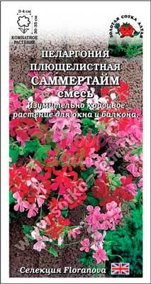 Цветы Пеларгония Саммертайм плющелистная (3 шт) смесь Сотка