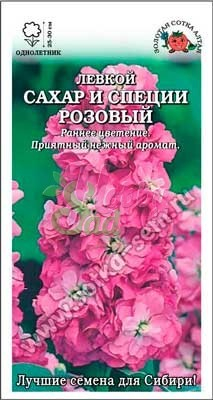 Цветы Левкой Сахар и специи Розовый (10 шт) Сотка